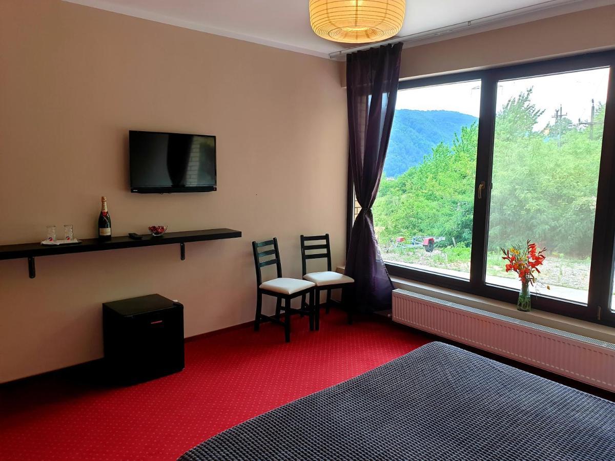 Rex Infinity View 4* Cazanele Dunarii Dubova Buitenkant foto